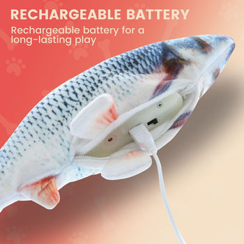 Floofi USB Electric Fish Toy (Crucian Carp) - PT-CT-124-QQQ